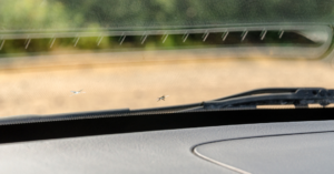 How to Spot and Repair Windscreen Chips Before They Turn into Cracks