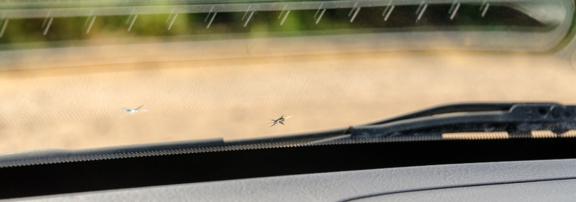 How to Spot and Repair Windscreen Chips Before They Turn into Cracks